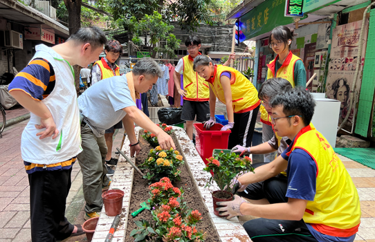 花店老闆現場指導花壇種植技巧。